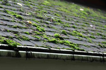 how to remove moss from roof