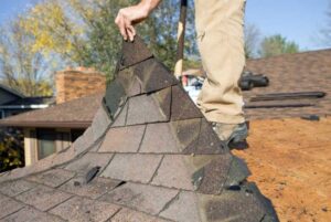 Roof Maxx Reviews Consumer Reports